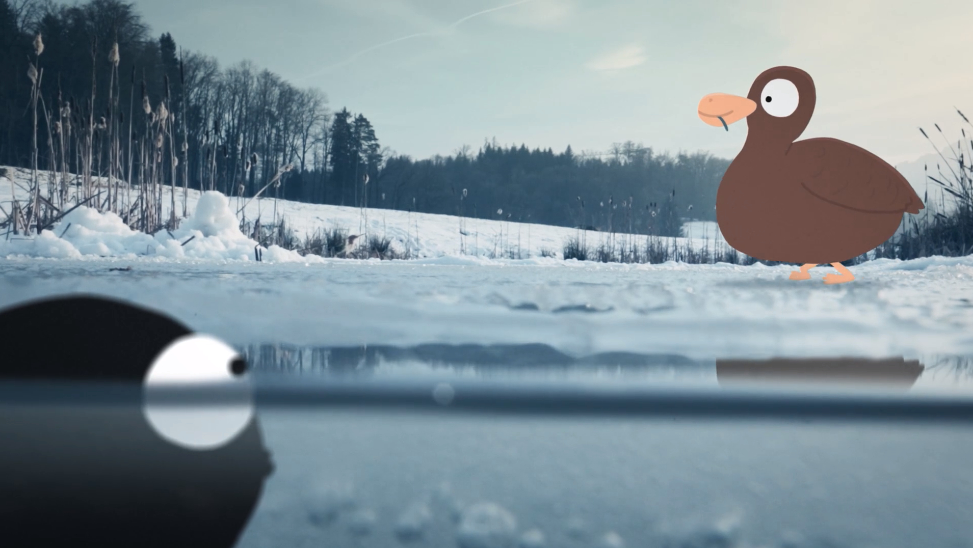Wasserwelten (Kurzfilmprogramm Mo&Friese) 